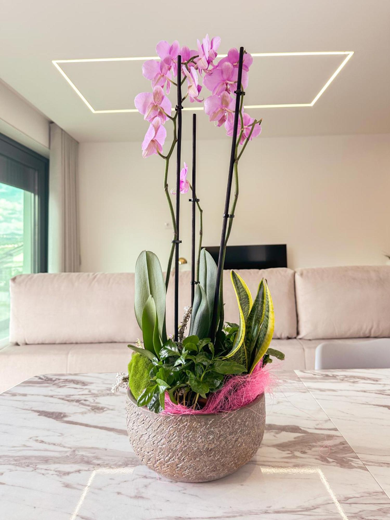 Flora Guest House Marco de Canaveses Ngoại thất bức ảnh